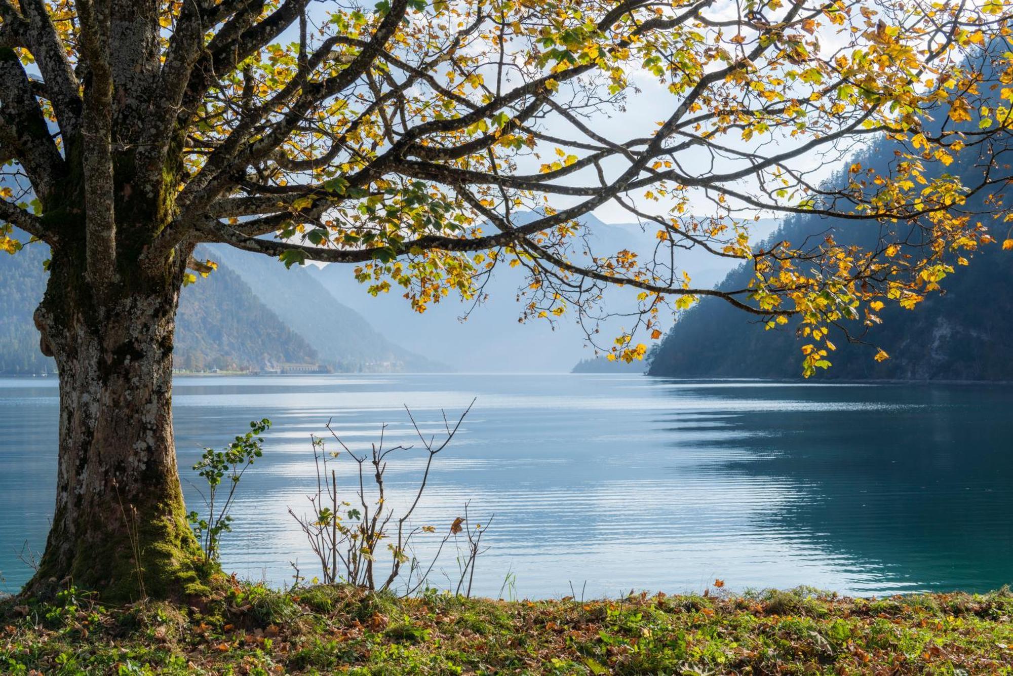 Posthotel Achenkirch Resort And Spa - Adults Only Екстер'єр фото